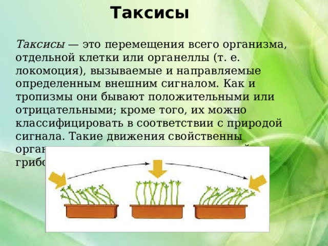 Таксисы    Таксисы  — это перемещения всего организма, отдельной клетки или органеллы (т. е. локомоция), вызываемые и направляемые определенным внешним сигналом. Как и тропизмы они бывают положительными или отрицательными; кроме того, их можно классифицировать в соответствии с природой сигнала. Такие движения свойственны организмам всех групп, кроме растений и грибов. 