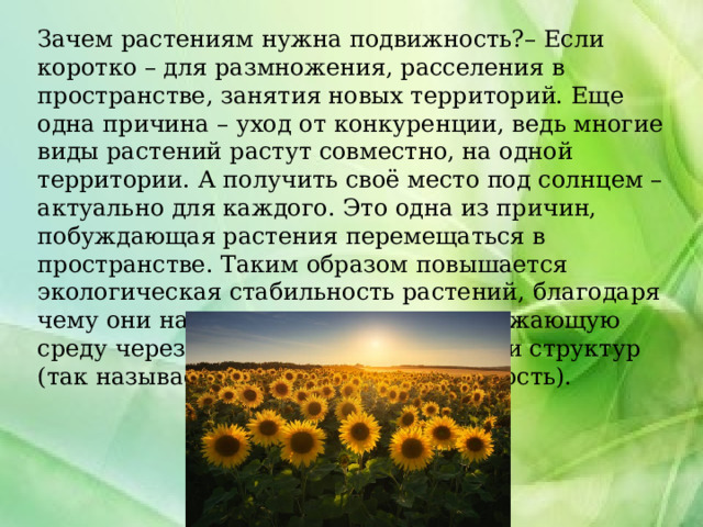 Зачем растениям нужна подвижность?– Если коротко – для размножения, расселения в пространстве, занятия новых территорий. Еще одна причина – уход от конкуренции, ведь многие виды растений растут совместно, на одной территории. А получить своё место под солнцем – актуально для каждого. Это одна из причин, побуждающая растения перемещаться в пространстве. Таким образом повышается экологическая стабильность растений, благодаря чему они на полную используют окружающую среду через движение своих органов и структур (так называемая «поисковая» активность). 