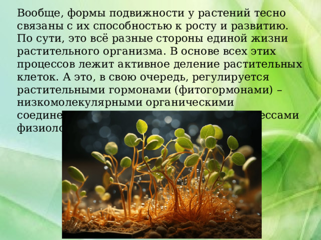 Вообще, формы подвижности у растений тесно связаны с их способностью к росту и развитию. По сути, это всё разные стороны единой жизни растительного организма. В основе всех этих процессов лежит активное деление растительных клеток. А это, в свою очередь, регулируется растительными гормонами (фитогормонами) – низкомолекулярными органическими соединениями, связанными со всеми процессами физиологии. 