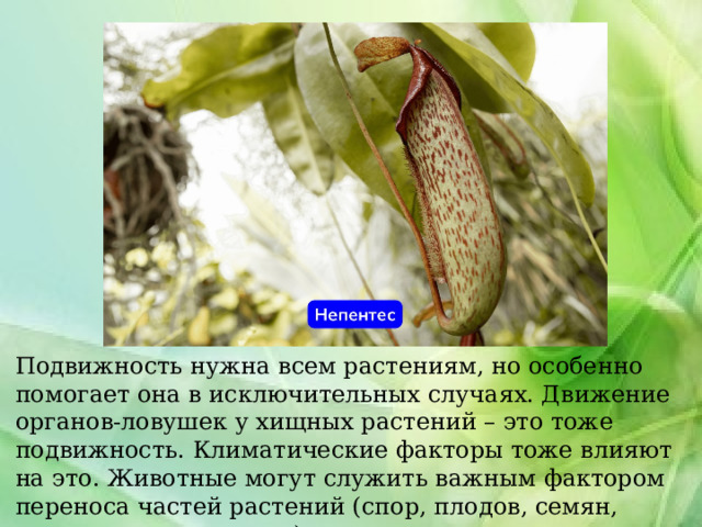 Подвижность нужна всем растениям, но особенно помогает она в исключительных случаях. Движение органов-ловушек у хищных растений – это тоже подвижность. Климатические факторы тоже влияют на это. Животные могут служить важным фактором переноса частей растений (спор, плодов, семян, вегетативных диаспор) в пространстве. 