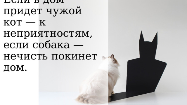 Если в дом придет чужой кот — к неприятностям, если собака — нечисть покинет дом.   