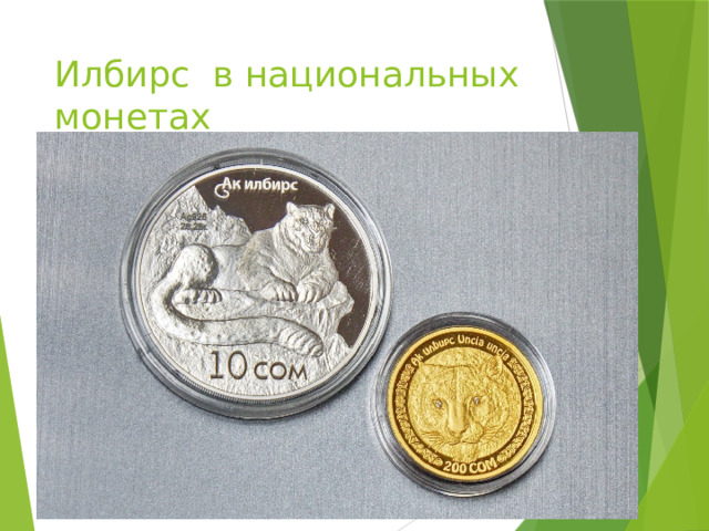 Илбирс в национальных монетах 