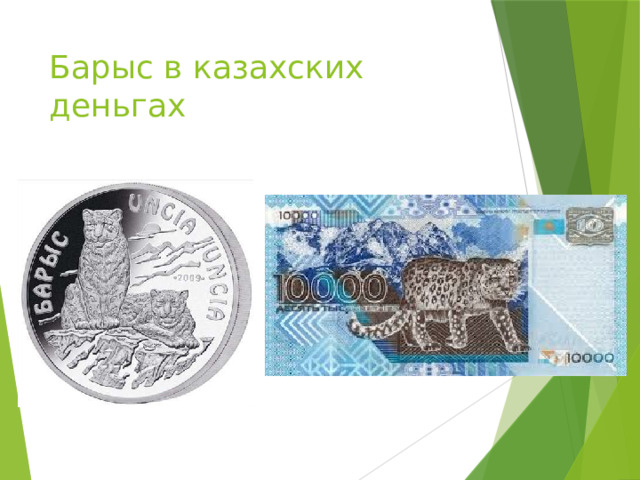 Барыс в казахских деньгах 