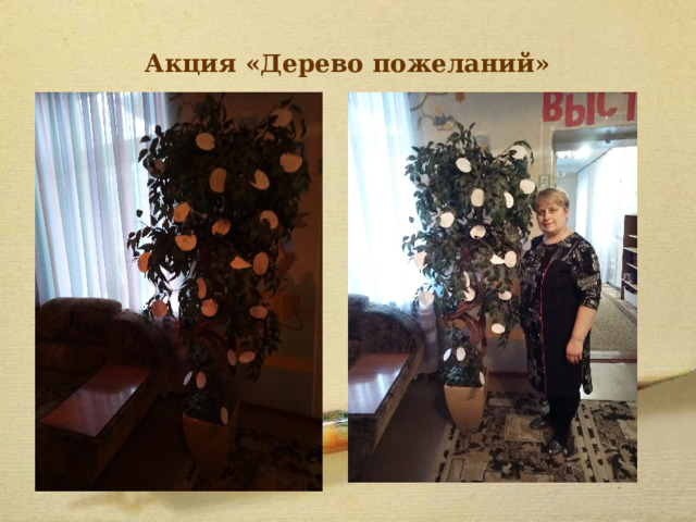 Акция «Дерево пожеланий» 