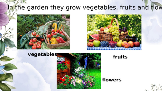In the garden they grow vegetables, fruits and flowers vegetables fruits flowers 