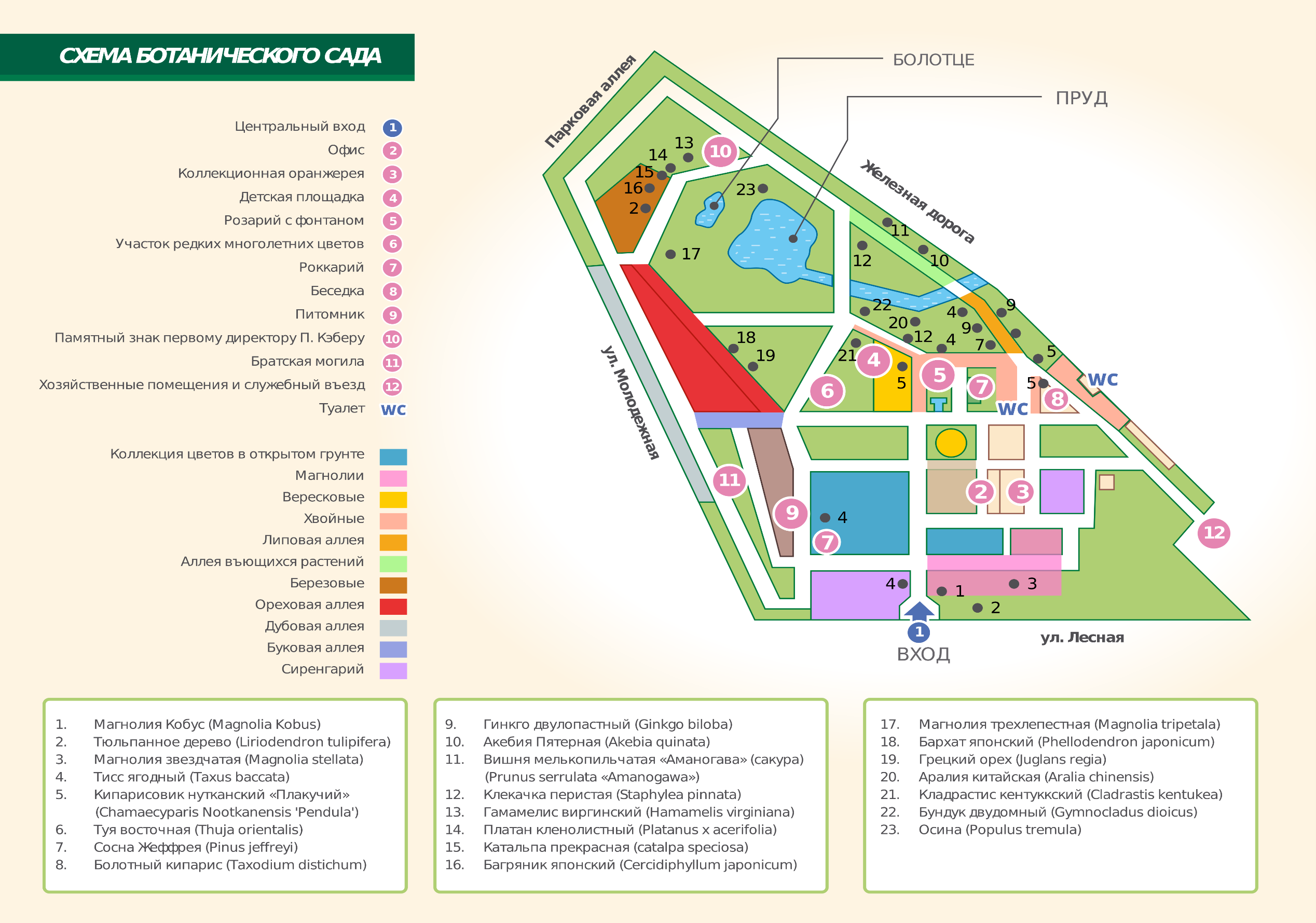 Ботанический сад на карте спб. Ботанический сад Санкт-Петербург схема парка. Ботанический сад МГУ план. Главный Ботанический сад в Москве план. Ботанический сад МГУ схема.