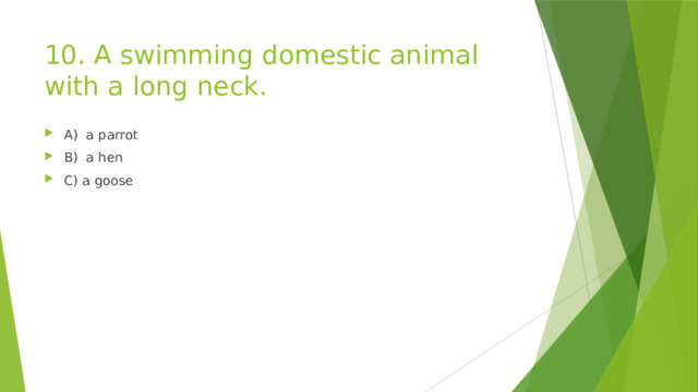 10. A swimming domestic animal with a long neck. A) a parrot B) a hen C) a goose 