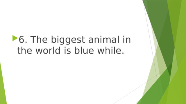 6. The biggest animal in the world is blue while. 