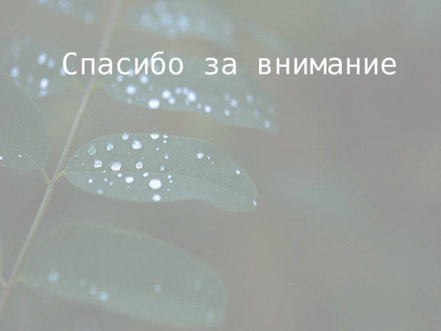 И над серостью наших бесед в дымной комнате машут крыльями опоздавшие птицы средство выразительности