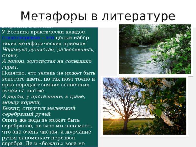 Презентация по теме "Метафора"