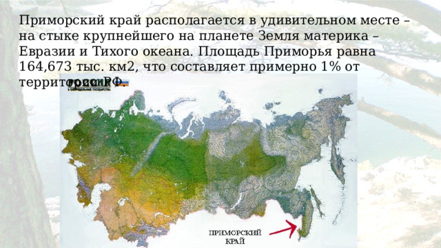 Приморский край располагается в удивительном месте – на стыке крупнейшего на планете Земля материка – Евразии и Тихого океана. Площадь Приморья равна 164,673 тыс. км2, что составляет примерно 1% от территории РФ. 