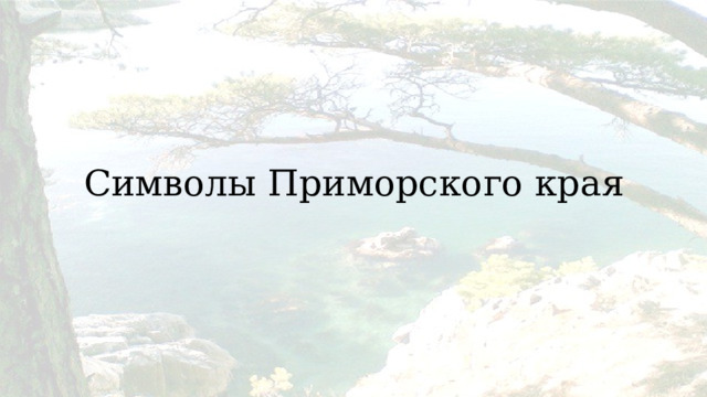 Символы Приморского края 