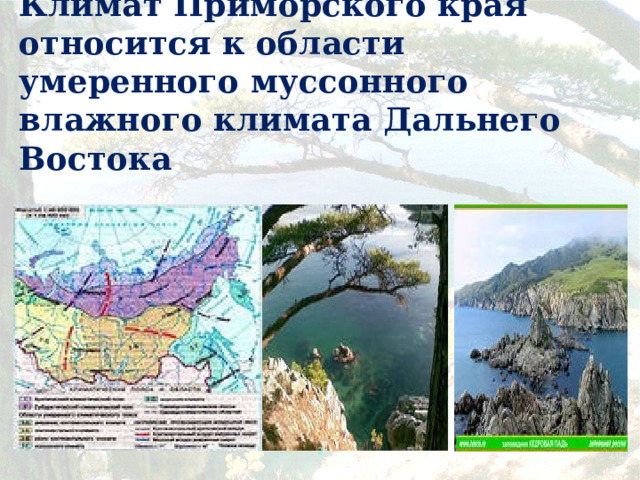 Климат Приморского края относится к области умеренного муссонного влажного климата Дальнего Востока .    