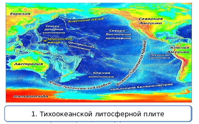 Признаки тихого океана вариант 2