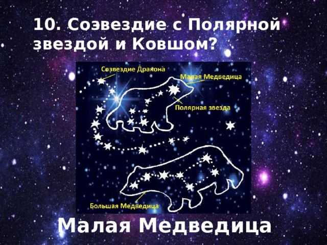 10. Созвездие с Полярной звездой и Ковшом? Малая Медведица 