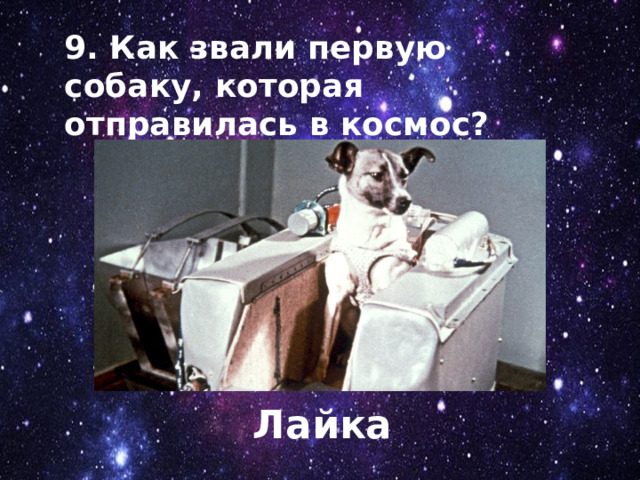 9. Как звали первую собаку, которая отправилась в космос? Лайка 