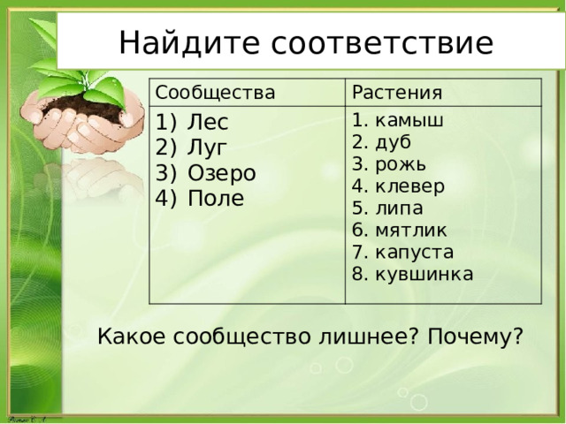 Найдите соответствие Сообщества Растения Лес Луг Озеро Поле 1. камыш 2. дуб 3. рожь 4. клевер 5. липа 6. мятлик 7. капуста 8. кувшинка Какое сообщество лишнее? Почему? 