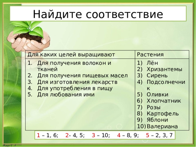 Найдите соответствие Для каких целей выращивают Растения Для получения волокон и тканей Для получения пищевых масел Для изготовления лекарств Для употребления в пищу Для любования ими Лён Хризантемы Сирень Подсолнечник Оливки Хлопчатник Розы Картофель Яблони Валериана 1 – 1, 6; 2 - 4, 5; 3 – 10; 4 – 8, 9; 5 – 2, 3, 7 