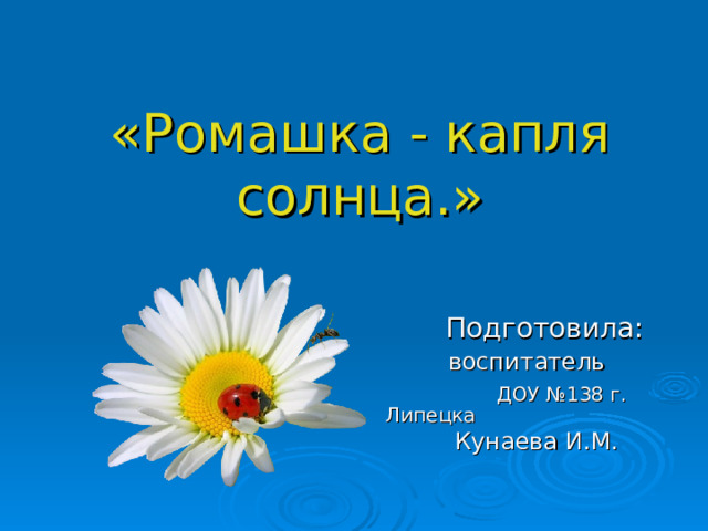 «Ромашка - капля солнца.»  Подготовила:  воспитатель  ДОУ №138 г. Липецка  Кунаева И.М. 