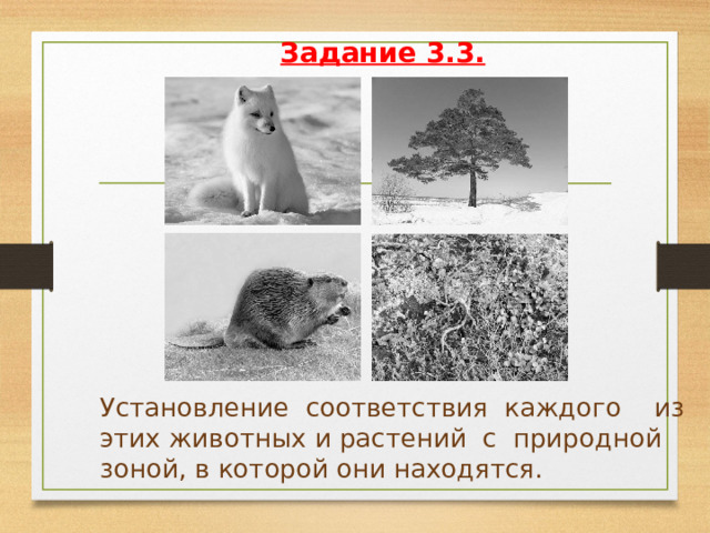  Задание 3.2.   Запиши название каждого из этих животных и растений рядом с номером фотографии, на которой оно изображено. 