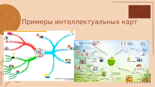 Примеры интеллектуальных карт 