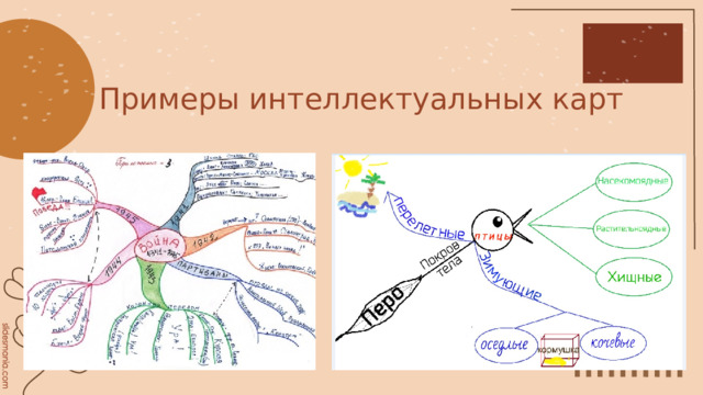 Примеры интеллектуальных карт 