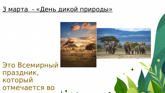 3 марта - «День дикой природы» Это Всемирный праздник, который отмечается во всем мире 