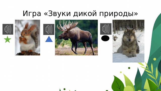Игра «Звуки дикой природы» 