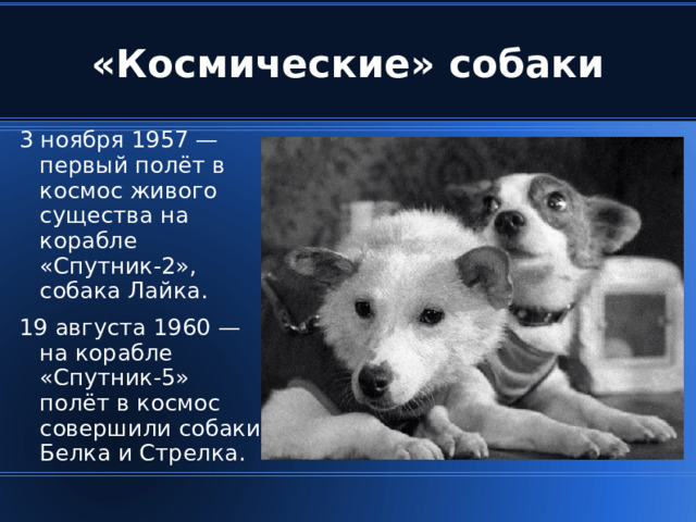 «Космические» собаки 3 ноября 1957 — первый полёт в космос живого существа на корабле «Спутник-2», собака Лайка. 19 августа 1960 — на корабле «Спутник-5» полёт в космос совершили собаки Белка и Стрелка.  