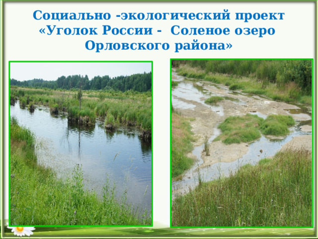 Социально -экологический проект  «Уголок России - Соленое озеро  Орловского района»  