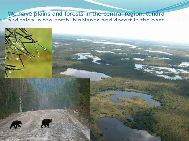 We have plains and forests in the central region, tundra and taiga in the north, highlands and desert in the east. 