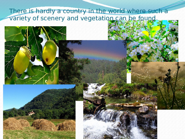 There is hardly a country in the world where such a variety of scenery and vegetation can be found. 