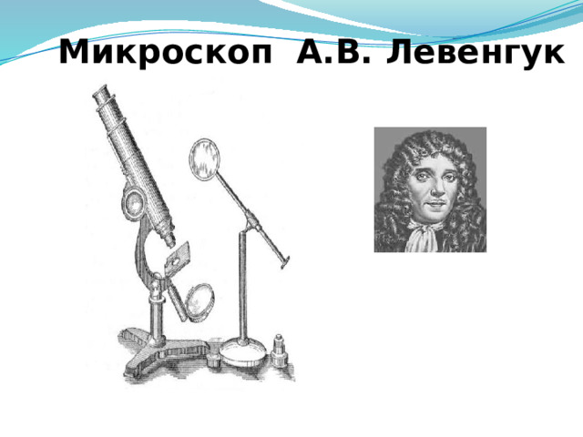 Микроскоп А.В. Левенгук  