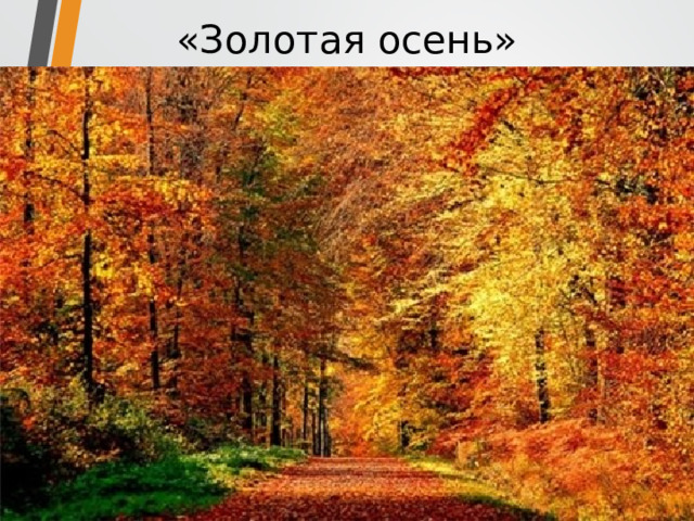 «Золотая осень» 
