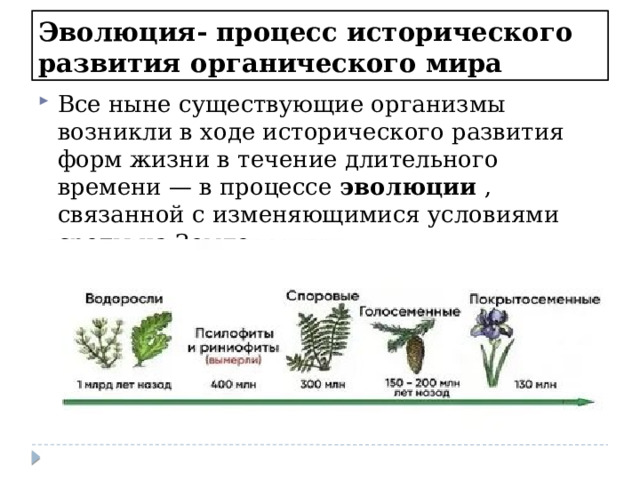 Эволюция- процесс исторического развития органического мира Все ныне существующие организмы возникли в ходе исторического развития форм жизни в течение длительного времени — в процессе  эволюции  , связанной с изменяющимися условиями среды на Земле. 