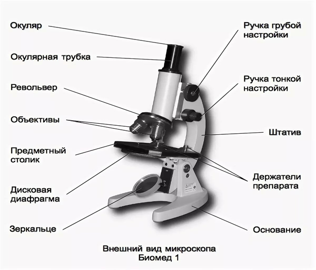 Методический практикум. Биология 5 класс. УМК Пасечник В.В.