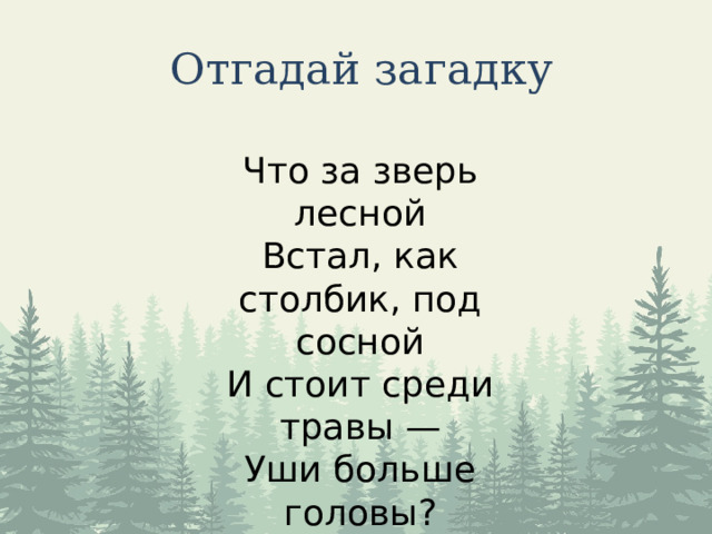 Отгадай загадку Что за зверь лесной  Встал, как столбик, под сосной  И стоит среди травы —  Уши больше головы? 
