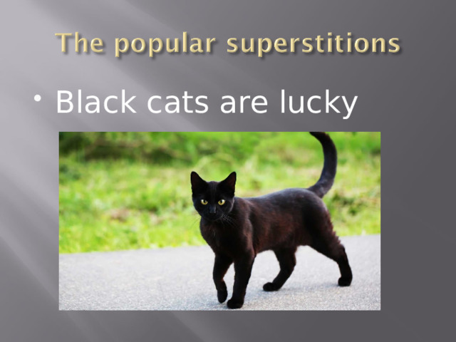 Black cats are lucky 