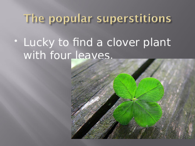 Lucky to find a clover plant with four leaves.  