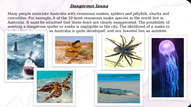 Dangerous fauna Many people associate Australia with venomous snakes, spiders and jellyfish, sharks and crocodiles. For example, 6 of the 10 most venomous snake species in the world live in Australia. It must be admitted that these fears are clearly exaggerated. The possibility of meeting a dangerous spider or snake is negligible in the city. The likelihood of a snake or spider bite is minimal, as Australia is quite developed, and any hospital has an antidote. 