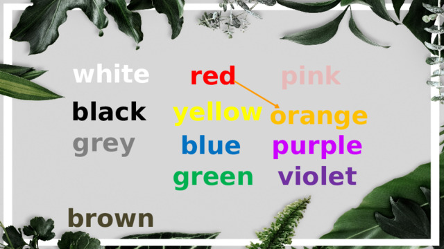 white red pink black yellow orange grey blue purple green violet brown 