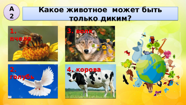 А2 Какое животное может быть только диким? 1. пчела 3. волк 2. голубь 4. корова 