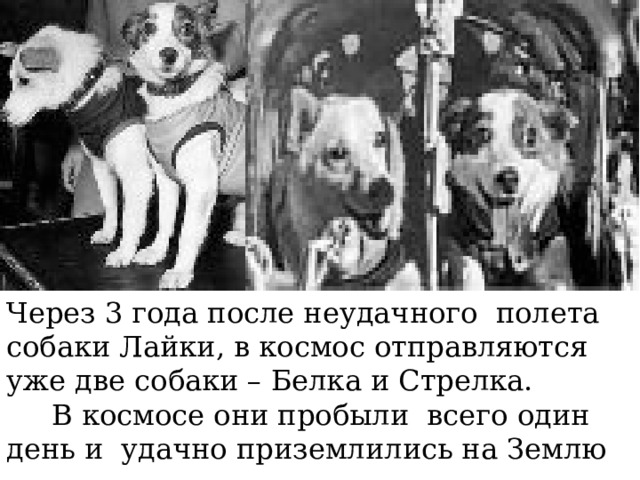 Через 3 года после неудачного полета собаки Лайки, в космос отправляются уже две собаки – Белка и Стрелка.  В космосе они пробыли всего один день и удачно приземлились на Землю 
