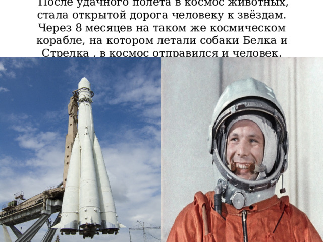  После удачного полета в космос животных, стала открытой дорога человеку к звёздам. Через 8 месяцев на таком же космическом корабле, на котором летали собаки Белка и Стрелка , в космос отправился и человек . 