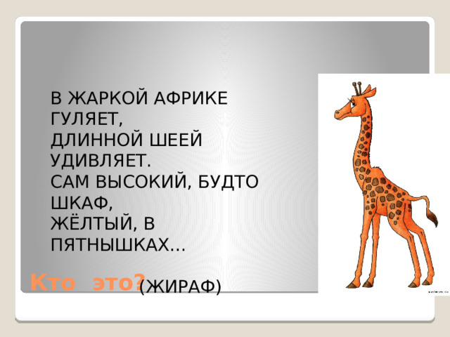 В ЖАРКОЙ АФРИКЕ ГУЛЯЕТ, ДЛИННОЙ ШЕЕЙ УДИВЛЯЕТ. САМ ВЫСОКИЙ, БУДТО ШКАФ, ЖЁЛТЫЙ, В ПЯТНЫШКАХ…  (ЖИРАФ) Кто это? 