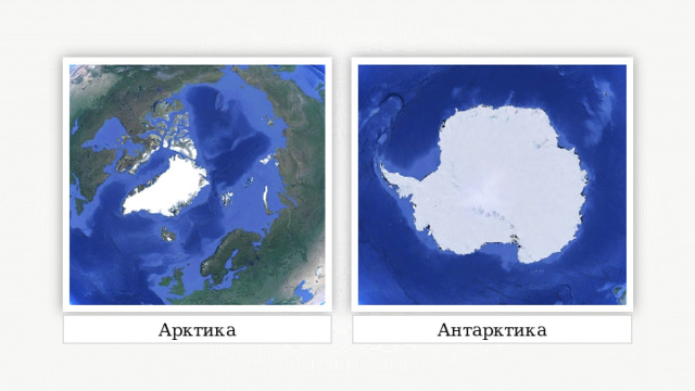 Арктика Антарктика 