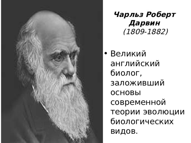 Чарльз Роберт Дарвин  (1809-1882) Великий английский биолог, заложивший основы современной теории эволюции биологических видов. 