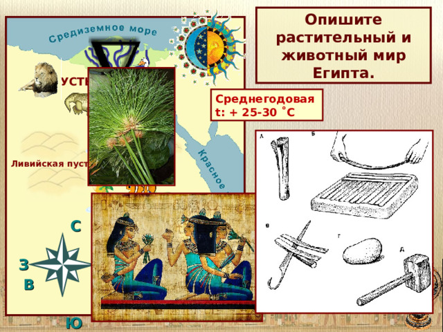 Нил Опишите растительный и животный мир Египта. УСТЬЕ Среднегодовая t : + 25-30 ˚С Растительный мир: Финиковые пальмы. Акации. Папирус (тростник). Ливийская пустыня Животный мир: Крокодилы. Бегемоты. Дикие кошки. Птицы: гуси, утки, пеликаны. Рыбы. 1 порог —   C  З В   Ю ИСТОК 