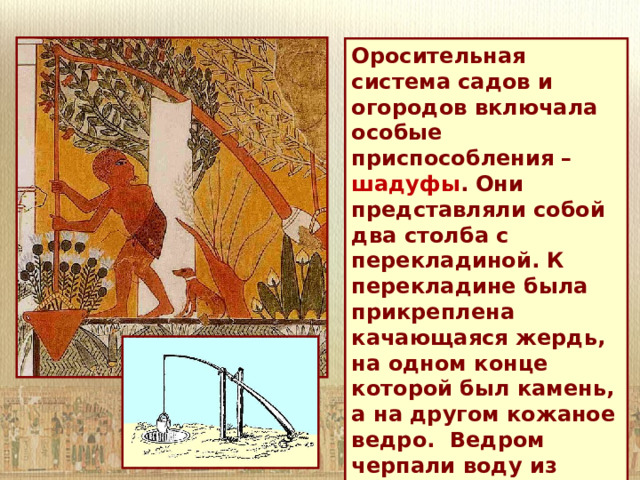 Оросительная система садов и огородов включала особые приспособления – шадуфы . Они представляли собой два столба с перекладиной. К перекладине была прикреплена качающаяся жердь, на одном конце которой был камень, а на другом кожаное ведро. Ведром черпали воду из колодца и поливали поля .  