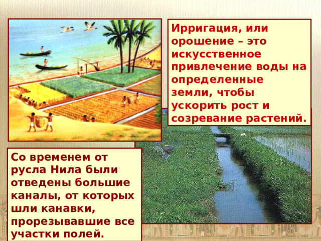 Ирригация, или орошение – это искусственное привлечение воды на определенные земли, чтобы ускорить рост и созревание растений. Со временем от русла Нила были отведены большие каналы, от которых шли канавки, прорезывавшие все участки полей.  
